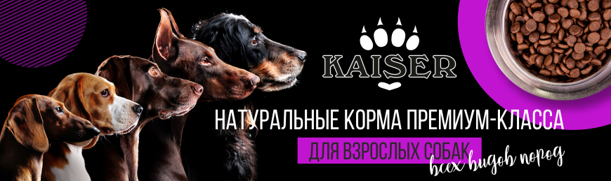 https://lucky-dog74.ru/image/cache/catalog/banners/main_banner_kaiser_870х259_1-870x259.jpg