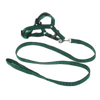 Комплект "рельефный", шлейка 36-49 см, зелёно-чёрный