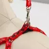 Комплект шлейка и поводок "Звёздные косточки", шлейка 23-35 см, красный