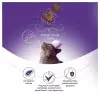Best Dinner Holistic Hypoallergenic Adult Sterilised Cat Lamb & Basil 1,5кг (уценка)