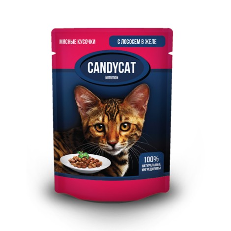 Влажный корм для кошек CandyCat лосось в желе