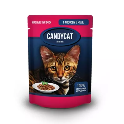 Влажный корм для кошек CandyCat лосось в желе