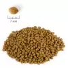 Сухой корм Delicana для котят индейка 1.5кг