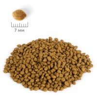 Для котят с индейкой 1.5кг (чувст. пищеварение)