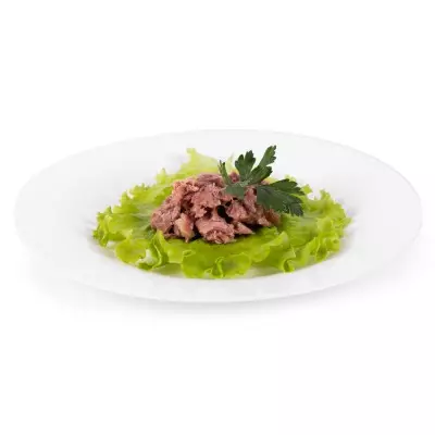 Корм консервированный для собак с желудками индейки, 240 г