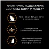Purina Pro Plan Derma Care сухой корм для взрослых кошек для красоты шерсти и здоровья кожи, лосось - 1.5кг