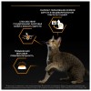 Purina Pro Plan Derma Care сухой корм для взрослых кошек для красоты шерсти и здоровья кожи, лосось - 1.5кг