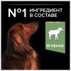Purina Pro Plan Sensitive Digestion Small & Mini сухой корм для взрослых собак мелких пород с чувствительным пищеварением, ягненок - 3кг