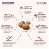 Sirius сухой корм для стерилизованных кошек с индейкой и курицей - 1.5кг Sirius сухой корм для стерилизованных кошек с индейкой и курицей - 1.5кг